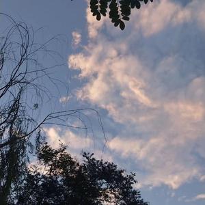 三亚三黄三色AAAA毛片
